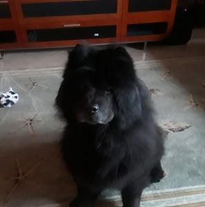 Meet your Posher, Donna